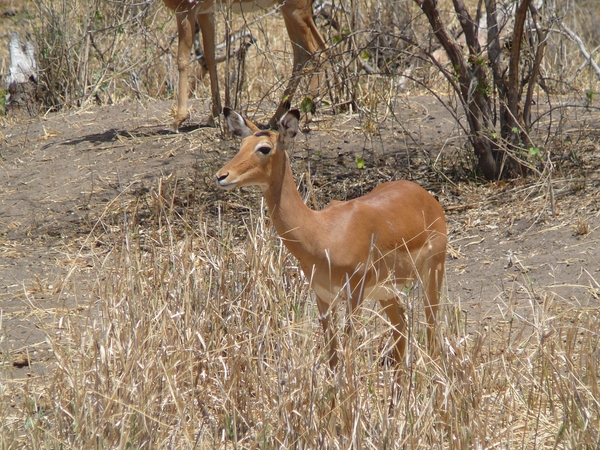 P1020044