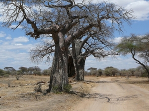 P1020049
