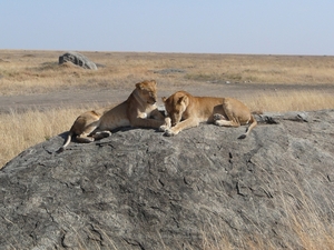 P1020259