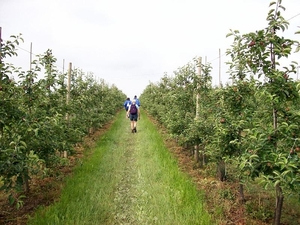 Appelboomgaard