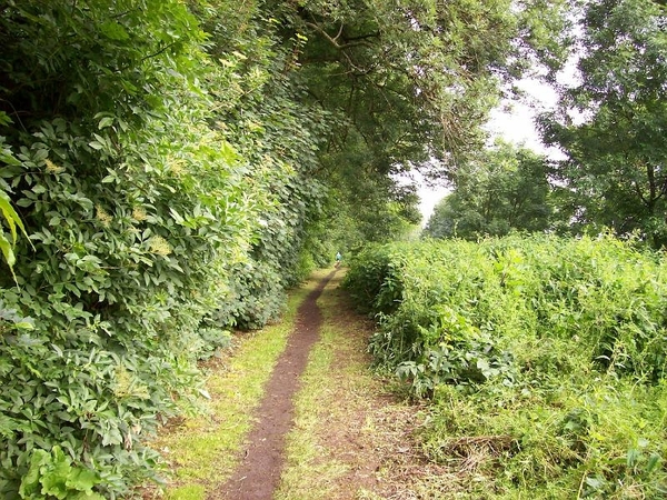Boezinge wegelke