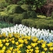 Keukenhof 117