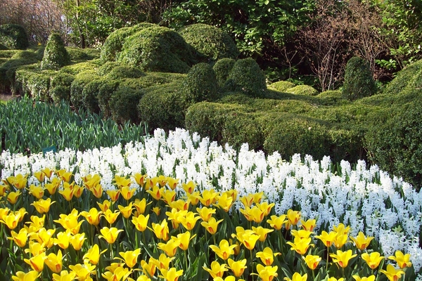 Keukenhof 117