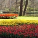 Keukenhof 118