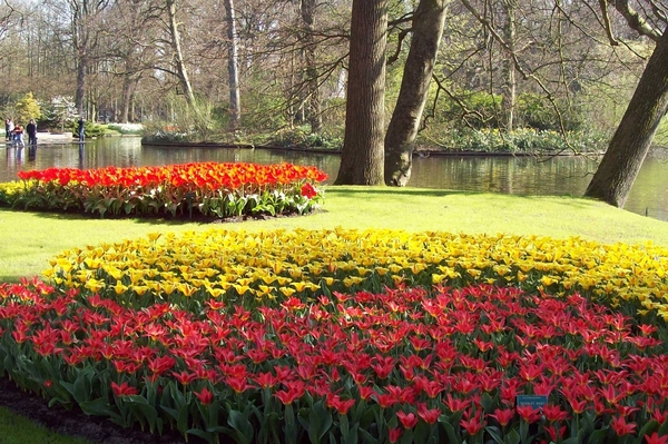 Keukenhof 118