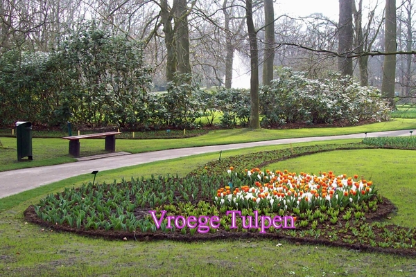 Keukenhof 12