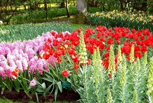 Keukenhof 127