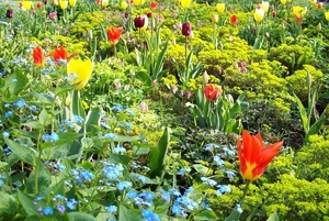 Keukenhof 137