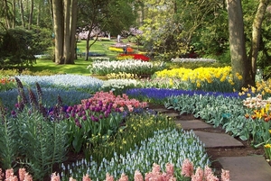 Keukenhof 144