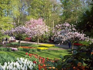 Keukenhof 147