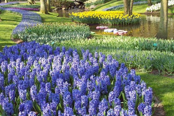 Keukenhof 155