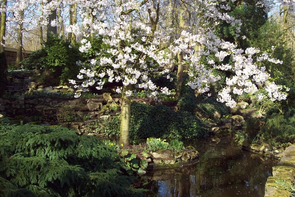 Keukenhof 99