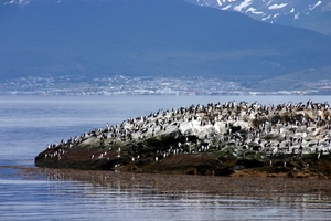 Zonnebaden met zicht op baai Ushuaia