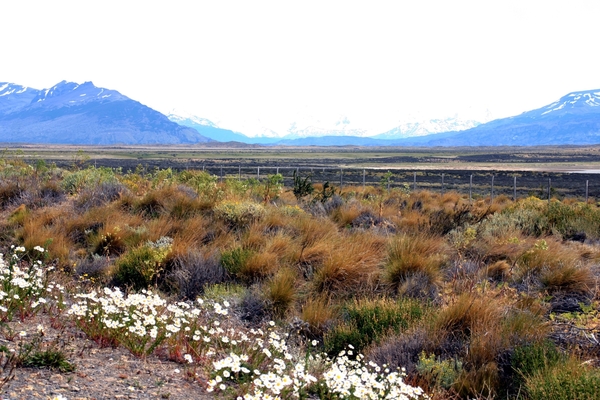 Provincie Santa Cruz - El Calafate