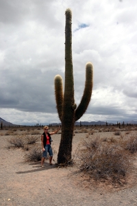ML is ong 1 m 50 groot; cactus...?