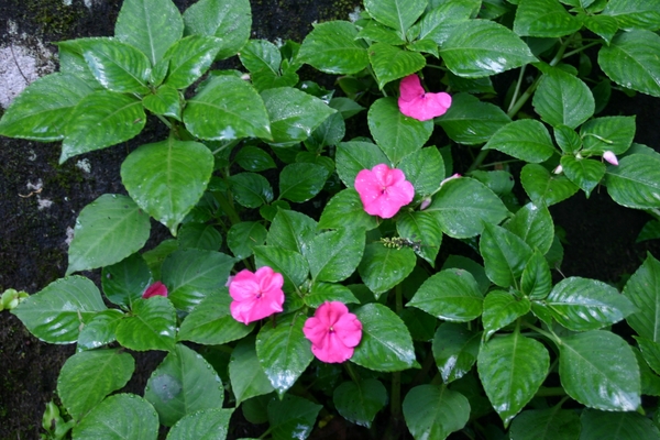 Een beetje afwisseling