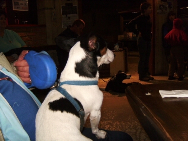 BILD0113[1]chevetogne6