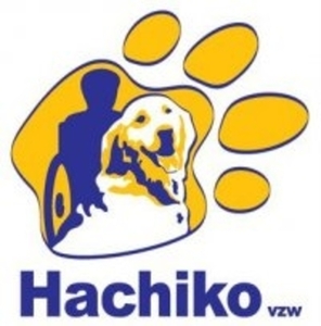 haichi