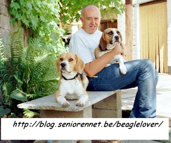 Blog beaglelover