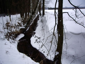 P. GEUDENS 008