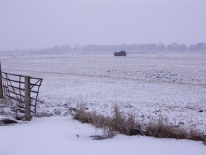 Den bunt  Hollands Diep en Hoekse  Waard 010