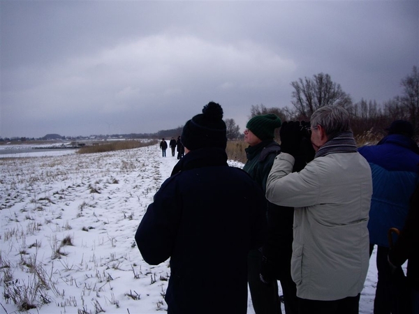 Den bunt  Hollands Diep en Hoekse  Waard 019