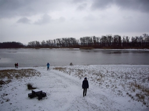 Den bunt  Hollands Diep en Hoekse  Waard 022
