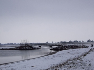 Den bunt  Hollands Diep en Hoekse  Waard 026