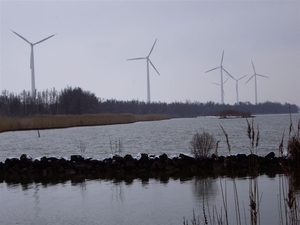 Den bunt  Hollands Diep en Hoekse  Waard 031