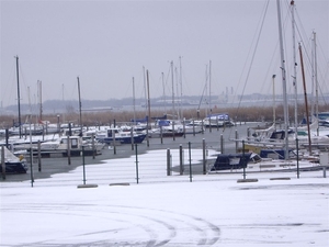 Den bunt  Hollands Diep en Hoekse  Waard 036