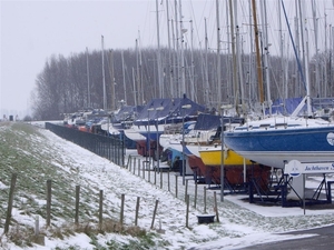 Den bunt  Hollands Diep en Hoekse  Waard 037