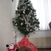 kerstboom 2009 002