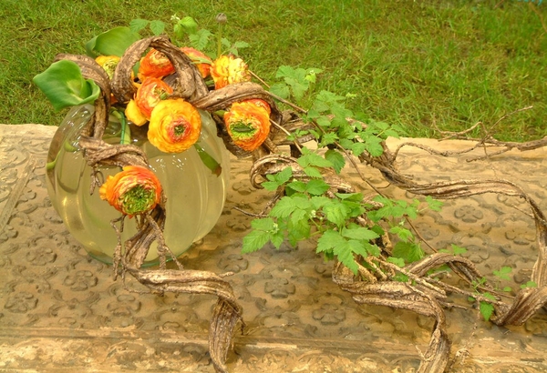 Floralin Gent 2005, Gentse Floralin 2005,2005 Floralin, Floralin