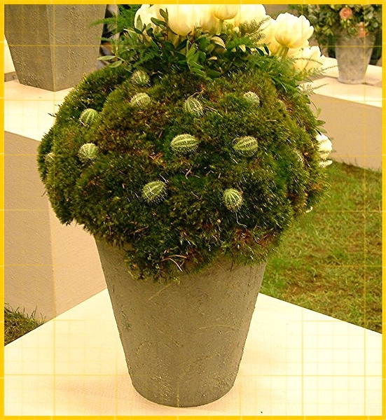 Floralin Gent 2005, Gentse Floralin 2005,2005 Floralin, Floralin