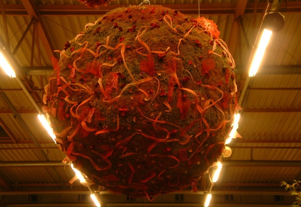 Floralin Gent 2005, Gentse Floralin 2005,2005 Floralin, Floralin