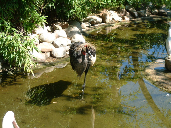 De Panne, Plopsaland