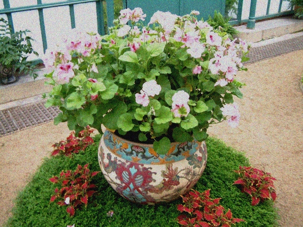 Brussel,Laken,Serres,Koninklijke serren