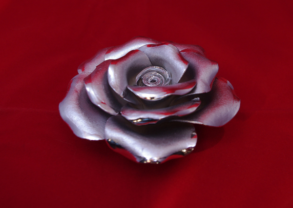 IMGP0008