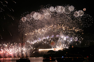 Vuurwerk 2008/2009