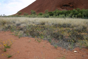 Lopend rond Ayers Rock