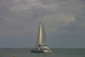 Dolfijnen voorop catamaran erachteraan