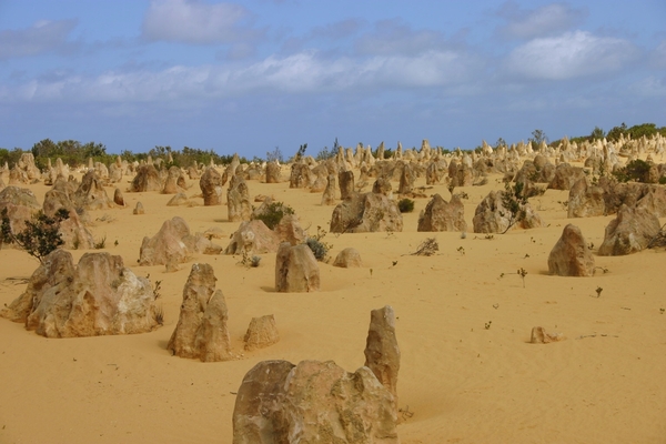 Pinacles