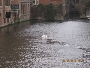 brugge 014