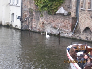 brugge 015