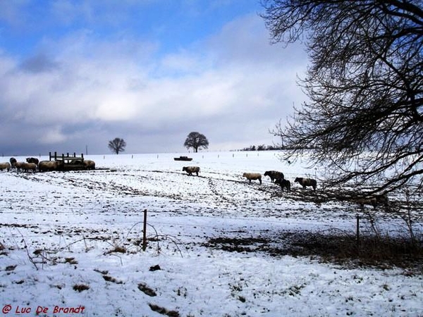 2010_02_21 Hulsonniaux 09