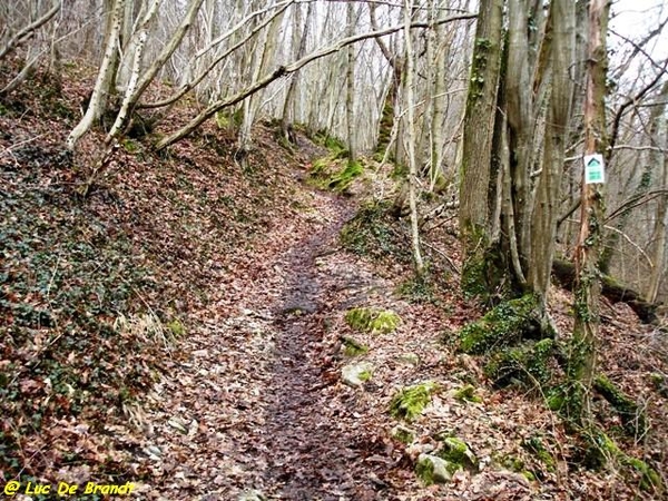 Ardennen wandeling Adeps Hulsonniaux