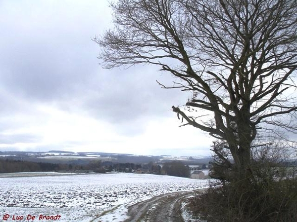 Ardennen wandeling Adeps Hulsonniaux