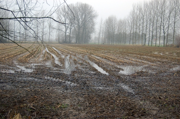 19.12.06 wandeling Gijzegem 03