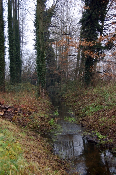 19.12.06 wandeling Gijzegem 04