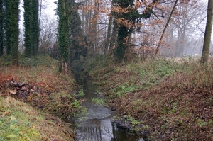 19.12.06 wandeling Gijzegem 05